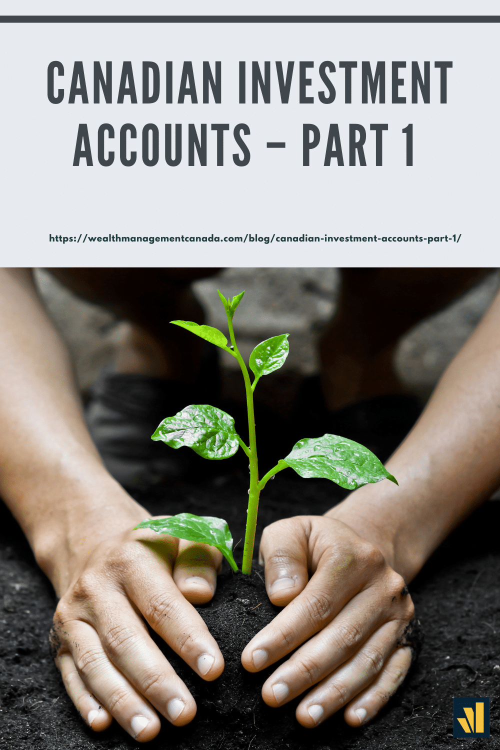 Canadian Investment Accounts