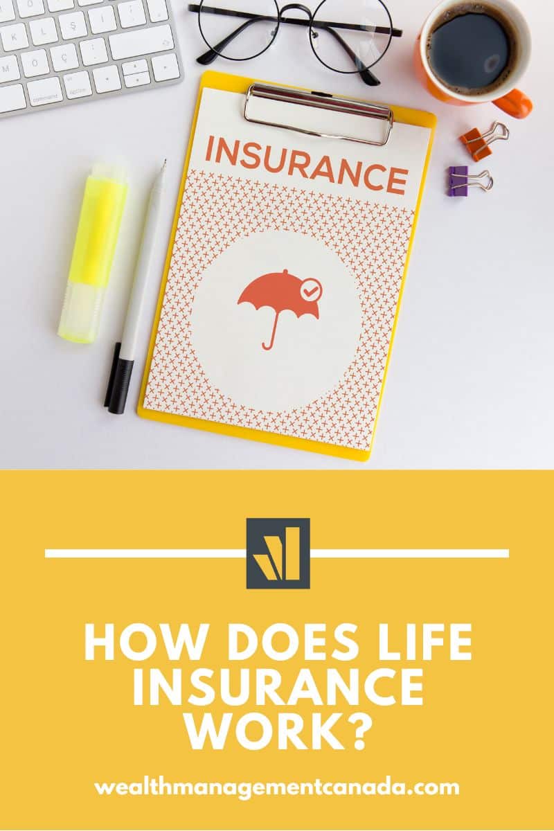 understanding-how-a-whole-life-insurance-works