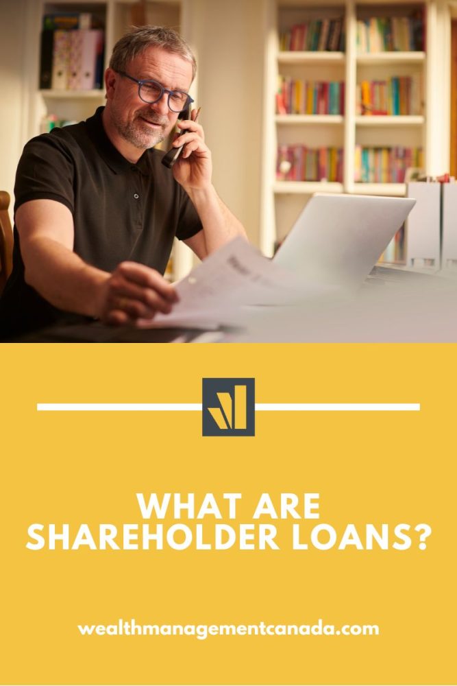 What are shareholder loans