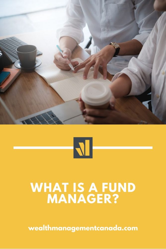what is a fund manager